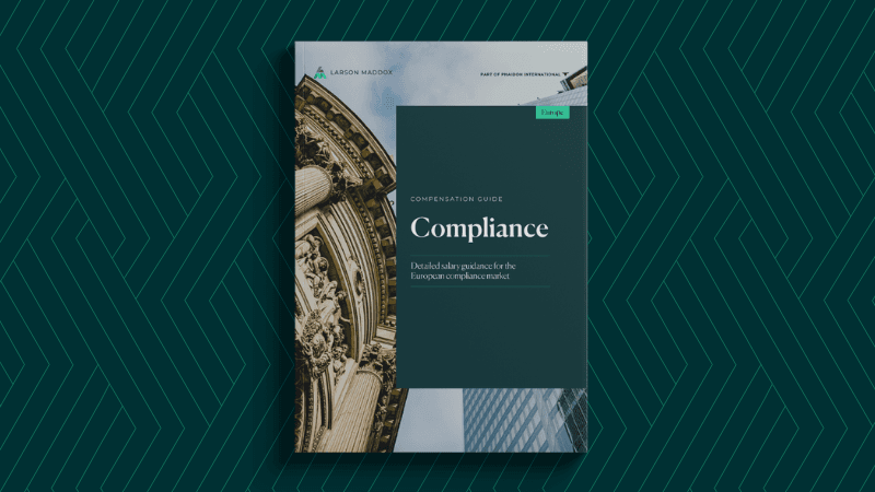 Larson Maddox EU Compliance Comp Guide Feature Image