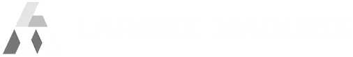 Larson Maddox Regulatory And Legal Recruitment White Logo
