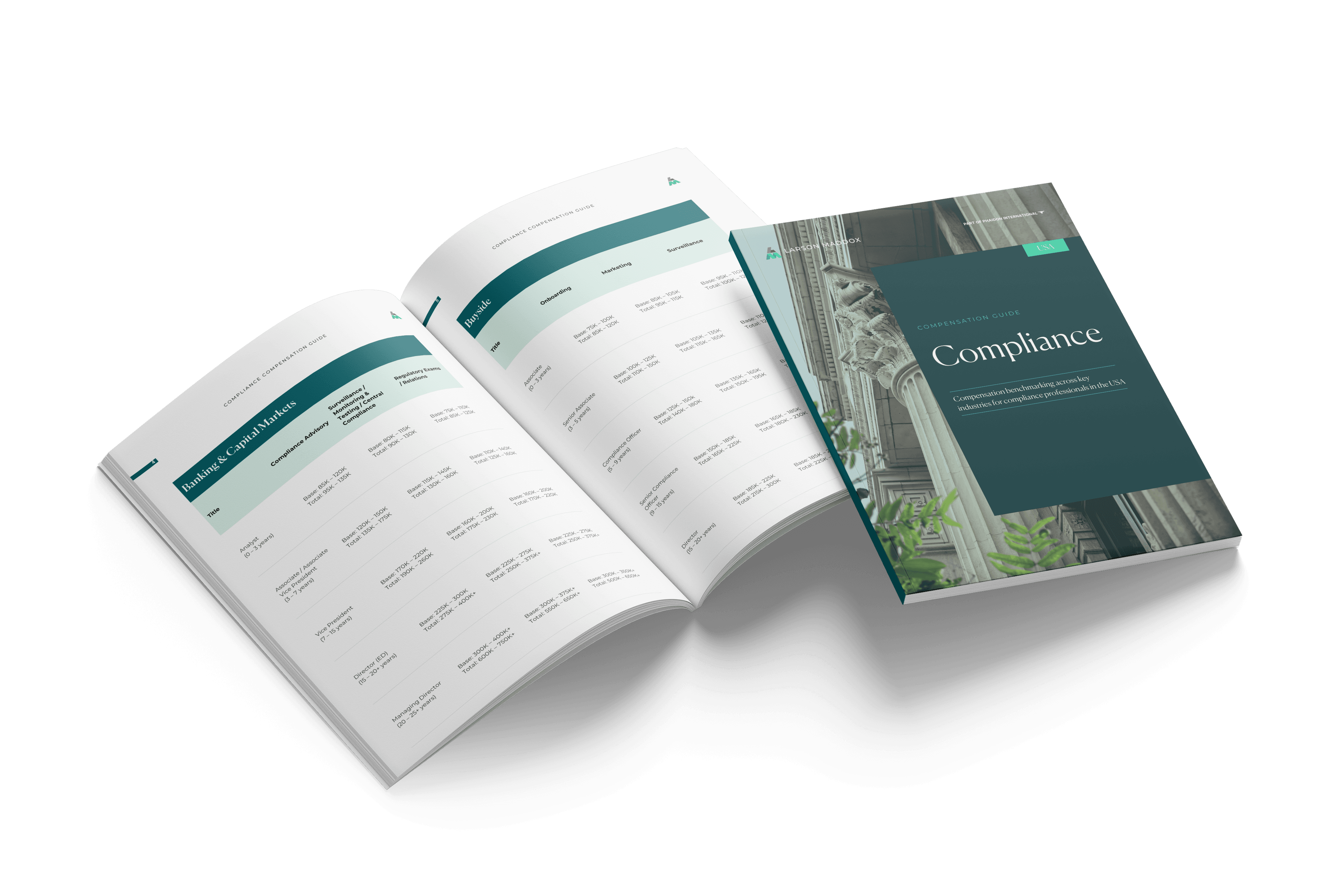 LM Compliance Comp Guide USA Mockup 1